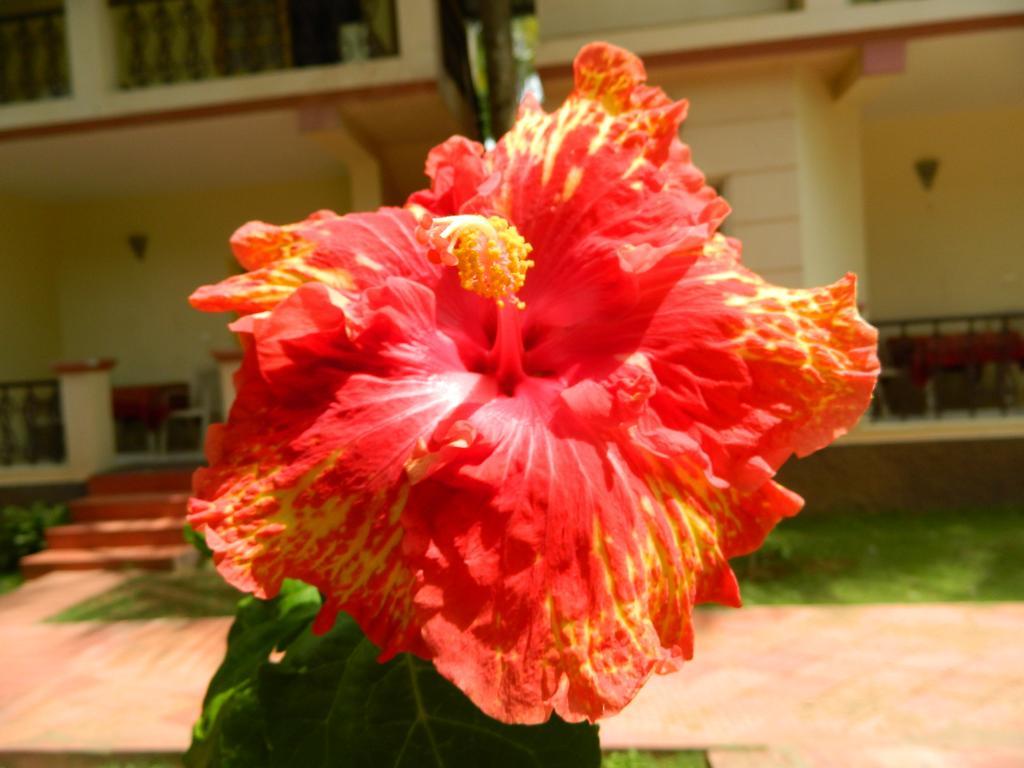Fantasy Golf Resort Devanahalli Экстерьер фото
